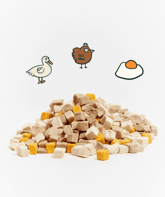 Notti 3-in-1 Protein Booster Freeze-Dried Cubes