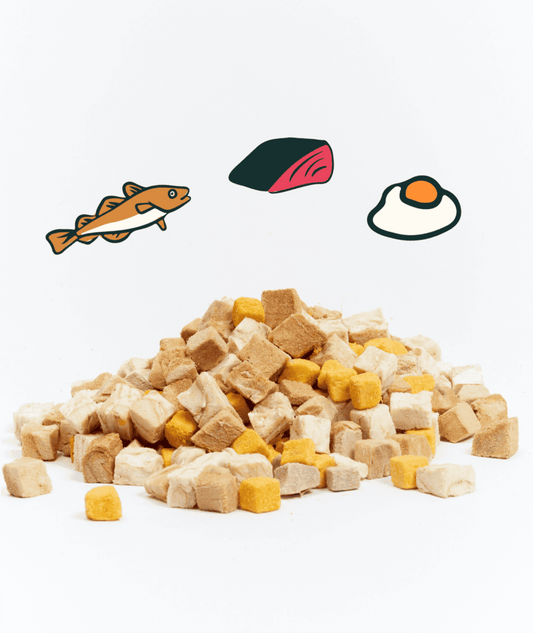 Notti 3-in-1 Wild-Caught Marine Omega Freeze-Dried Cubes