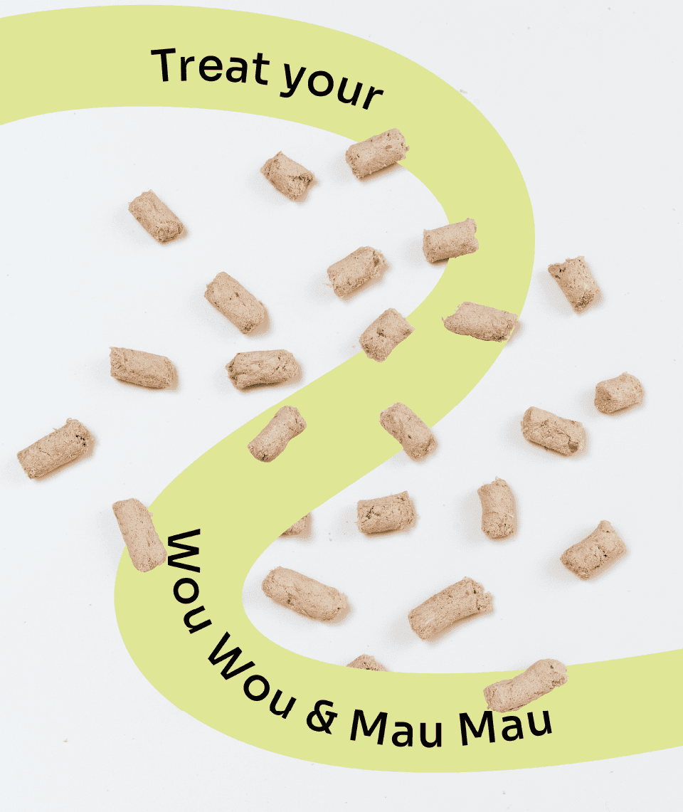 Notti 2-in-1 Allergy Care Turkey & Duck Freeze-Dried Chunks (50g)