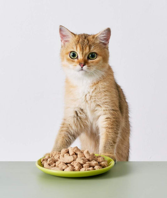 Notti 2-in-1 Allergy Care Turkey & Duck Freeze-Dried Chunks (50g)