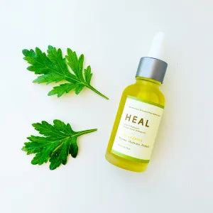 Herbbies Mugwort Moisturising Facial & Body Oil