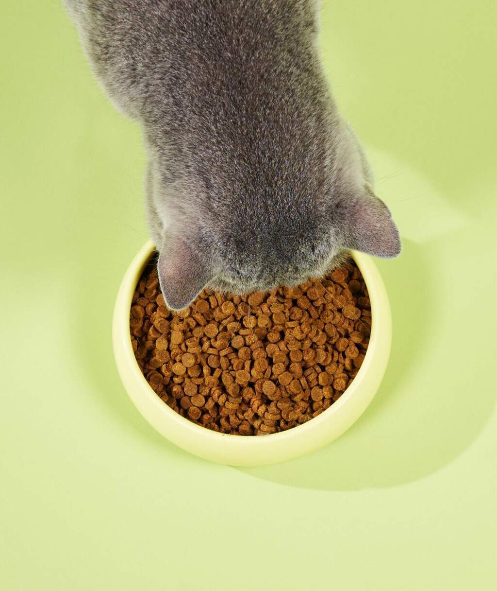 Notti Mau Mau Slow-Baked Fresh Chicken & Tuna Trial Kit (90g)