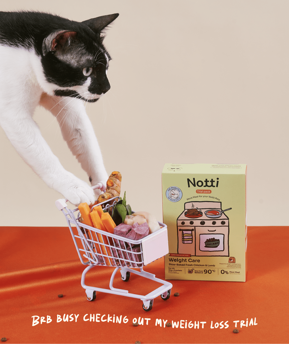 Notti Mau Mau Weight Care Slow-Baked Fresh Chicken & Lamb Trial Kit(90g)