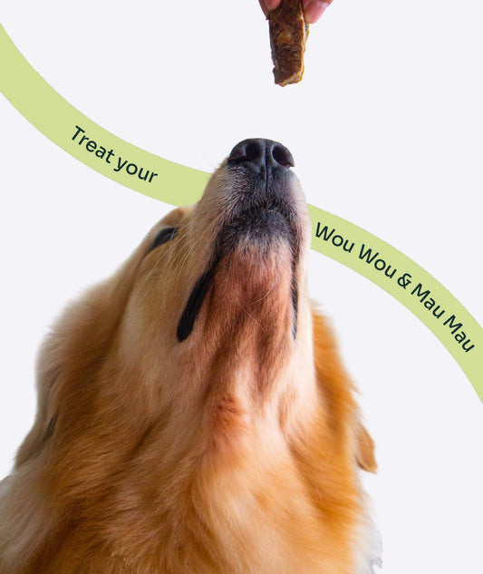 Notti Grass-Fed Baked Buffalo Tenderloin (20g)